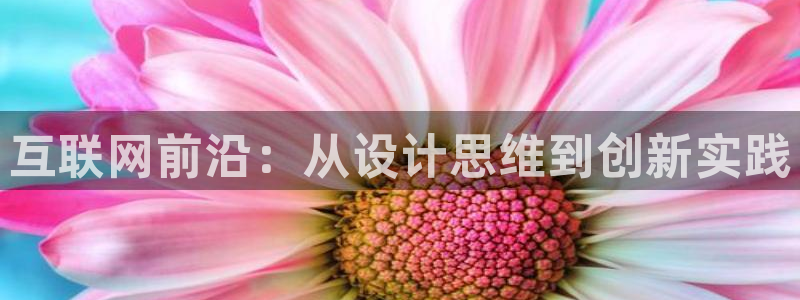 九游会网址国际