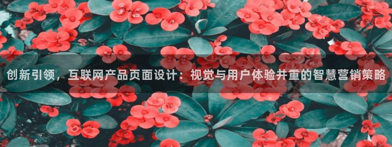 九游会 官网ag