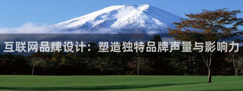 九游会软件