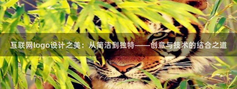 九游会提款