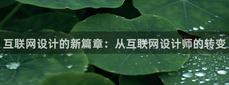 j9九游会ag