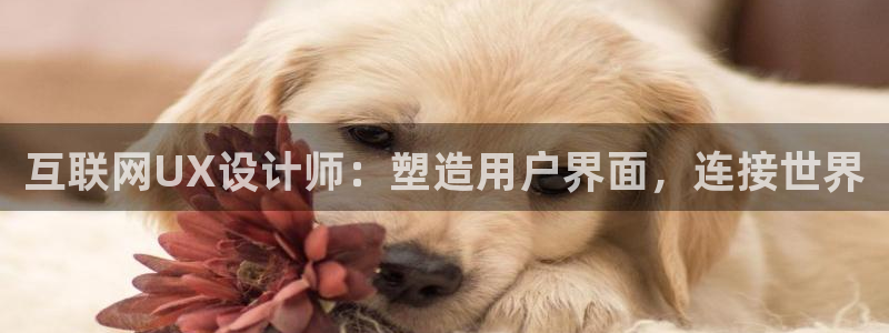 九游会新版平台