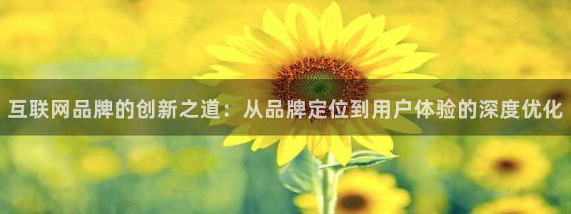 九游会平台如何