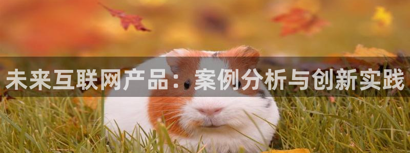 九游会官网登入
