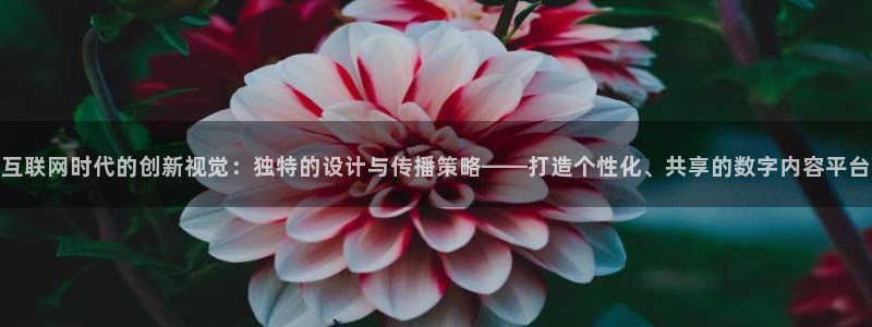 九游会手机网址