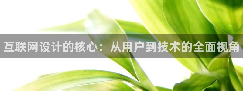 九游会注册链接：互联网设计的核