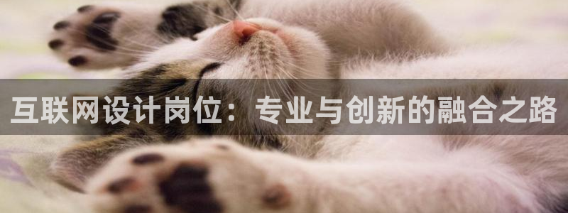 九游会网址多少九：互联网设计岗
