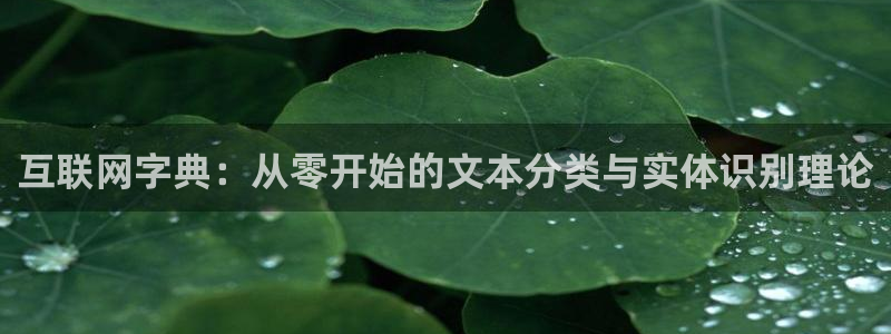 九游会j9