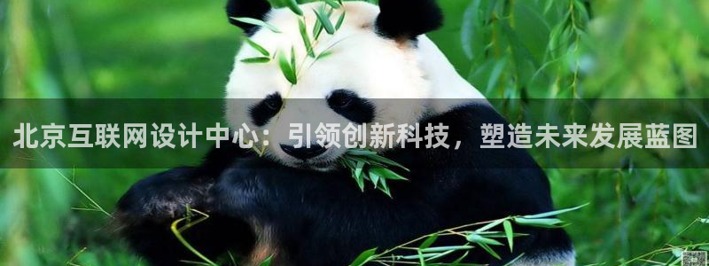 九游会招商：北京互联网设计中心