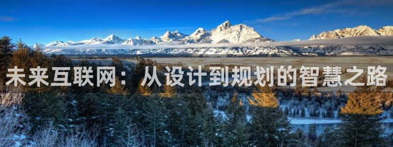 AG九游会九游会：未来互联网：