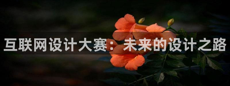 九游会手机登陆嘛：互联网设计大