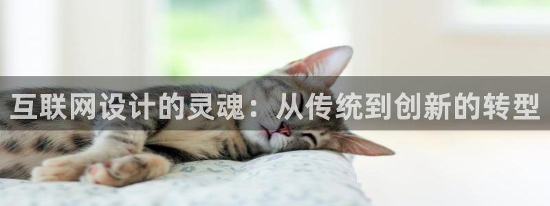 j9九游会官方网站国际
