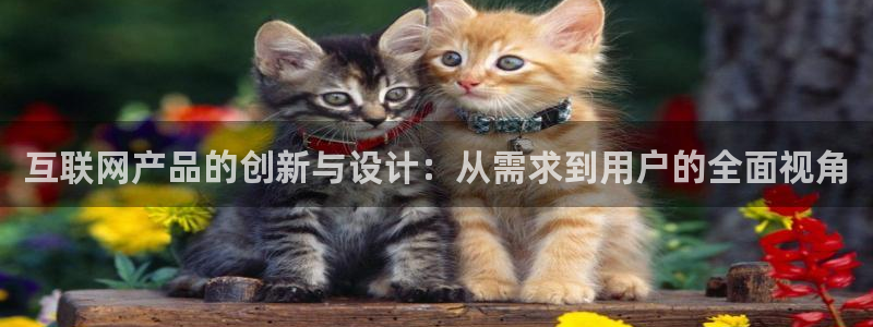 九游会平台最强