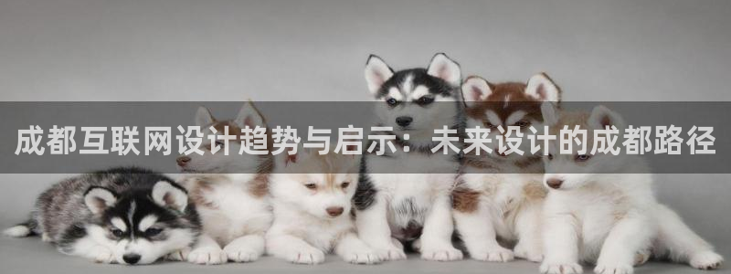 九游会官网入口在哪里