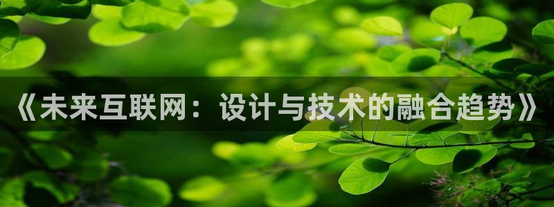 九游会ag手游网：《未来互联网
