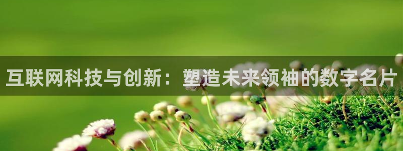ag九游会登录入口：互联网科技