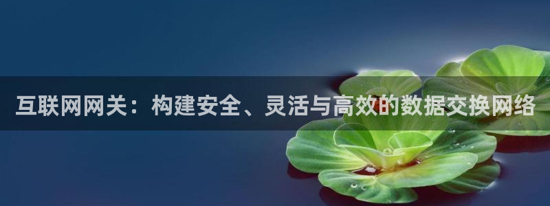 九游会无法登录吗