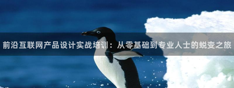 九游会j9备用网址