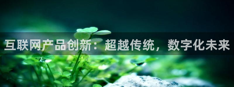 ag九游会只为非凡