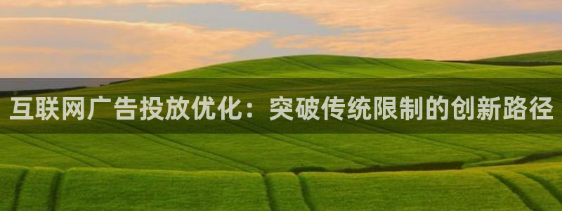 九游会真人第一：互联网广告投放