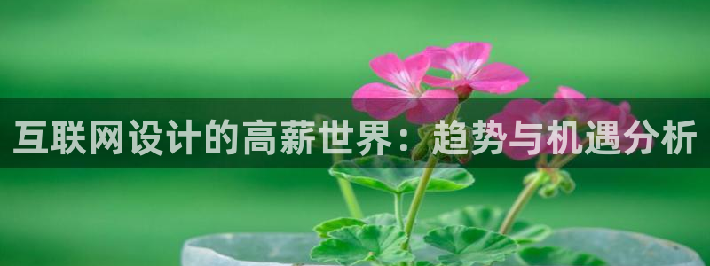 九曲灯游会