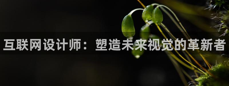 九游会怎么打不开了