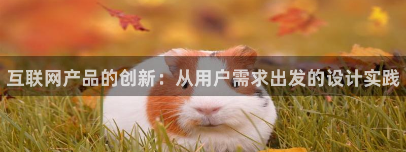 ag九游会真人
