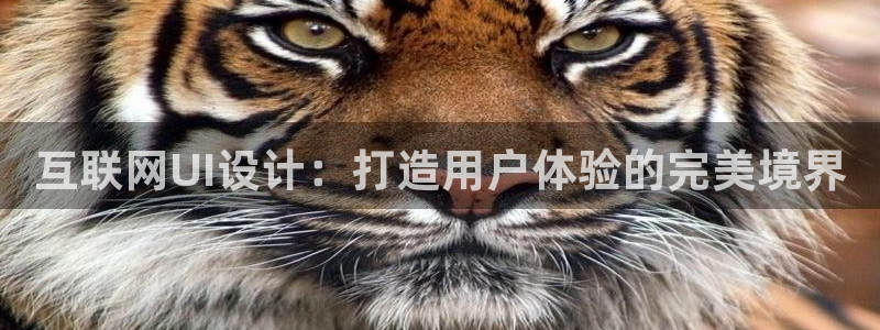 九游会网址是多少九