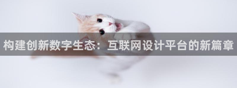 J9九游会 黑款