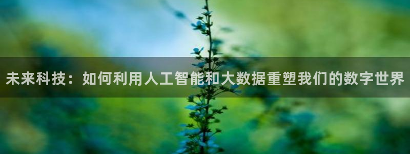 九游会黑网