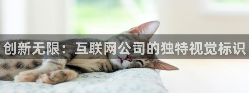 九游会正网