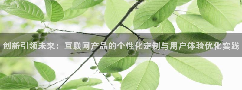 ag九游会开发：创新引领未来：