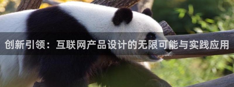 九游会官方网：创新引领：互联网