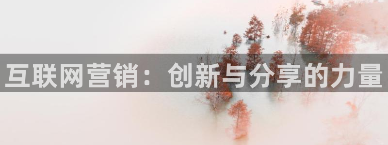 九游会官方网站中心：互联网营销