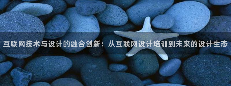 九游会怎么进：互联网技术与设计