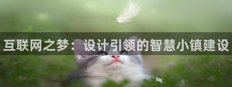 亚游国际九游会