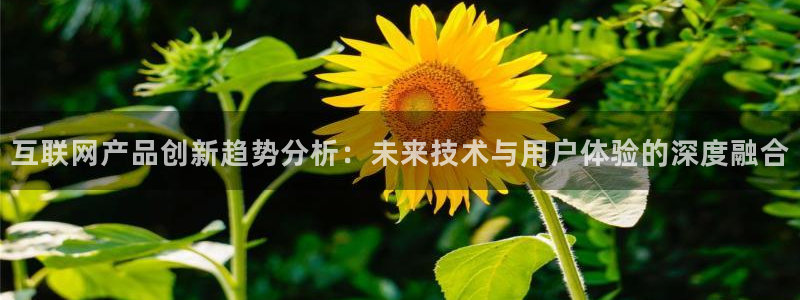 九游会网页游戏