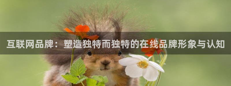 九游会j9国际站