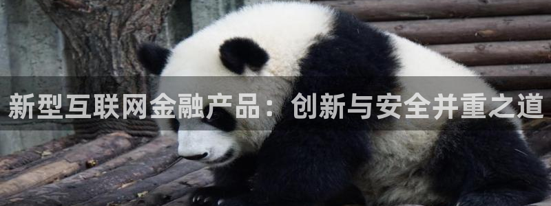 九游会官方网站欢迎您