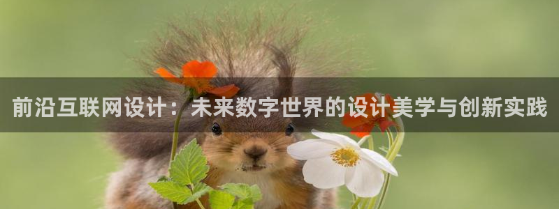 九游会官网老哥俱乐部