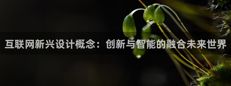 九游会登录不了游戏吗