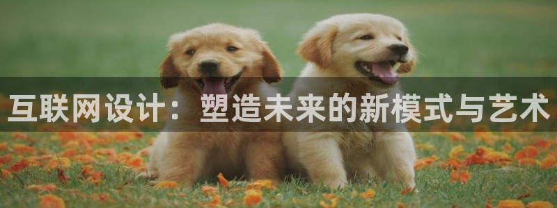 九游会官网登录j9：互联网设计