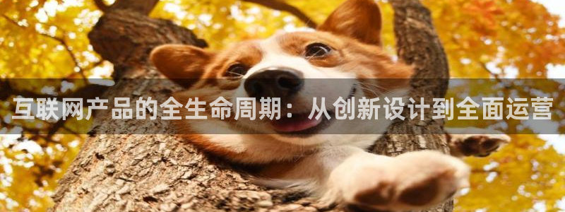 ag九游会登录入口：互联网产品